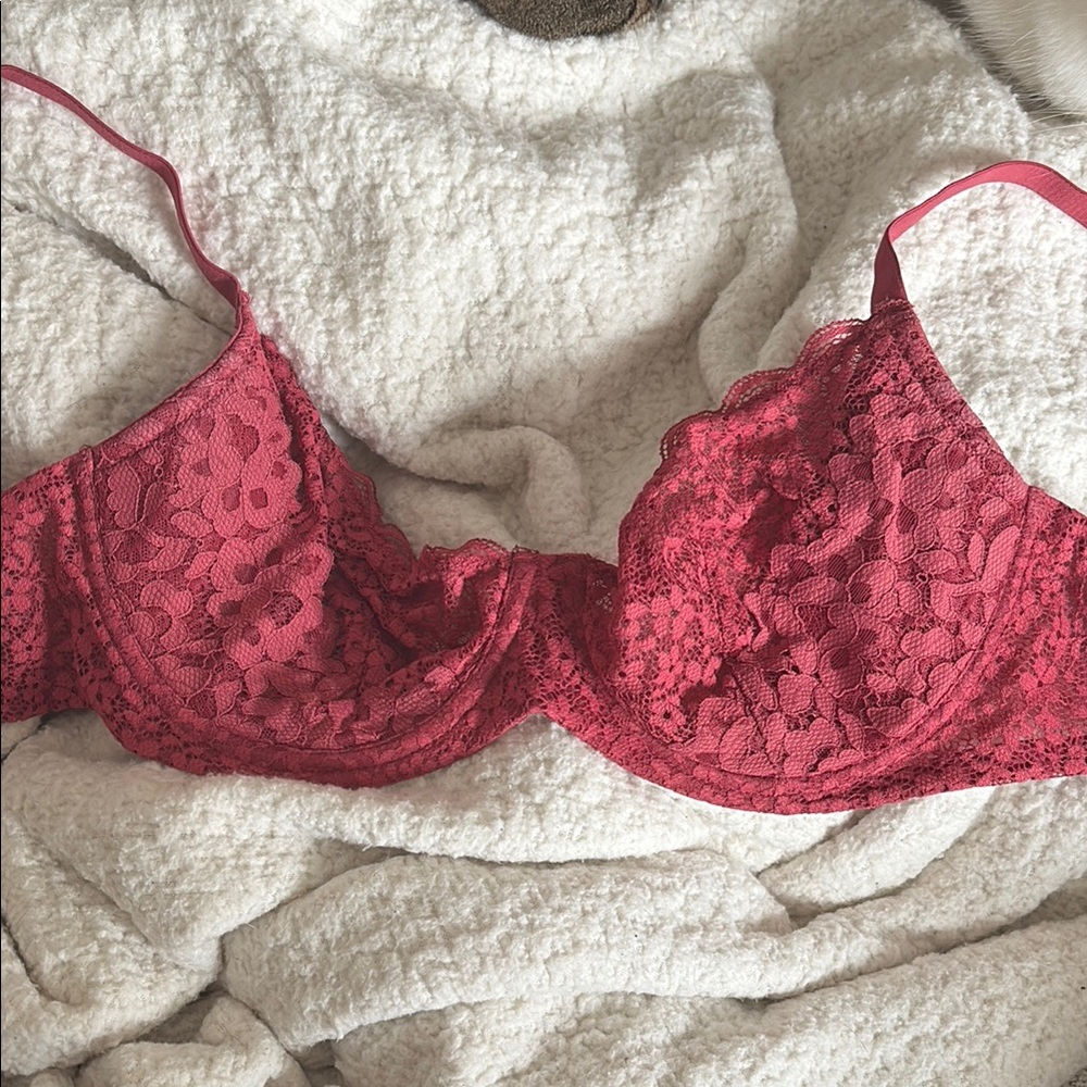 Lace Underwire Bra in Berry